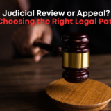 Judicial review